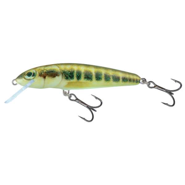 Minnow Floating - Poissons  Nageurs - Minnow - 7cm