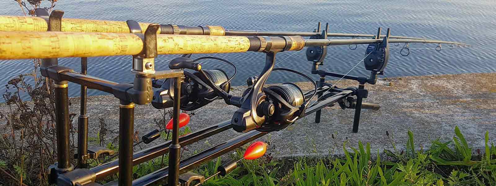 Pêche statique au poisson mort