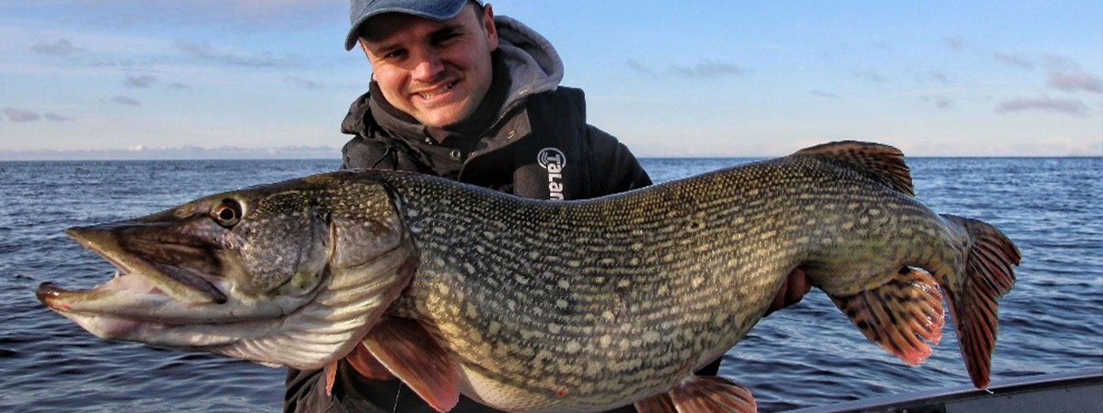 Un gros brochet avec du poisson d'appât