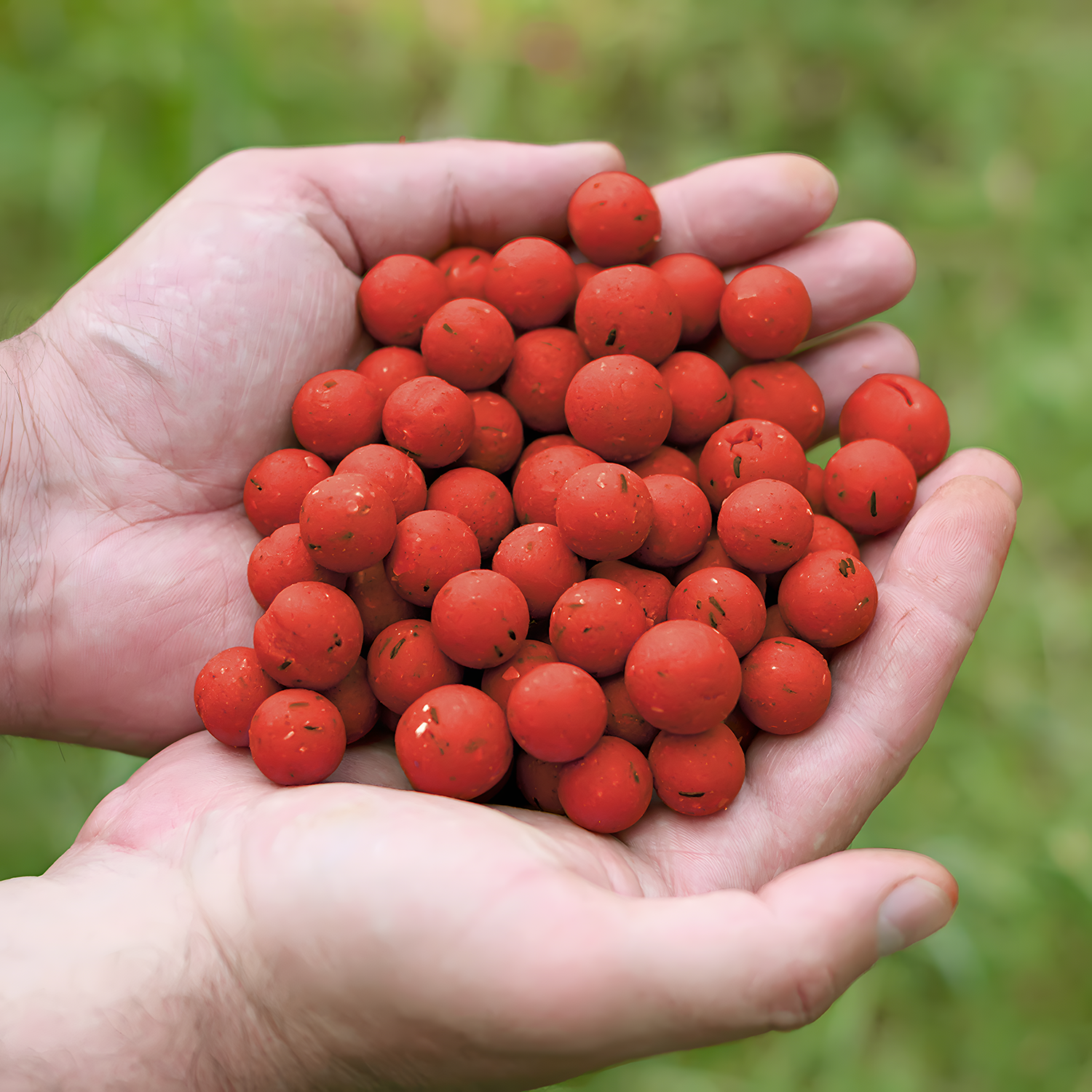 FRAISE - Bouillette - 20mm - 10kg