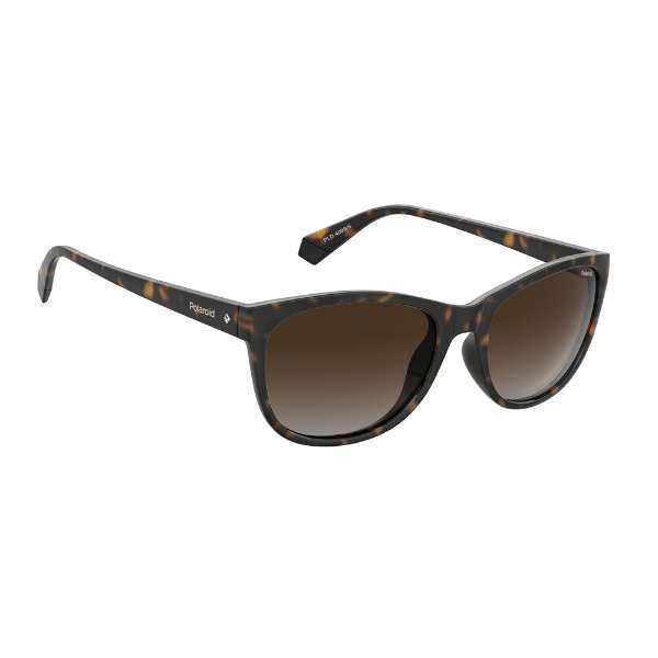 - PLD 4099/S 086 - Dk Havana - Lunette de Soleil