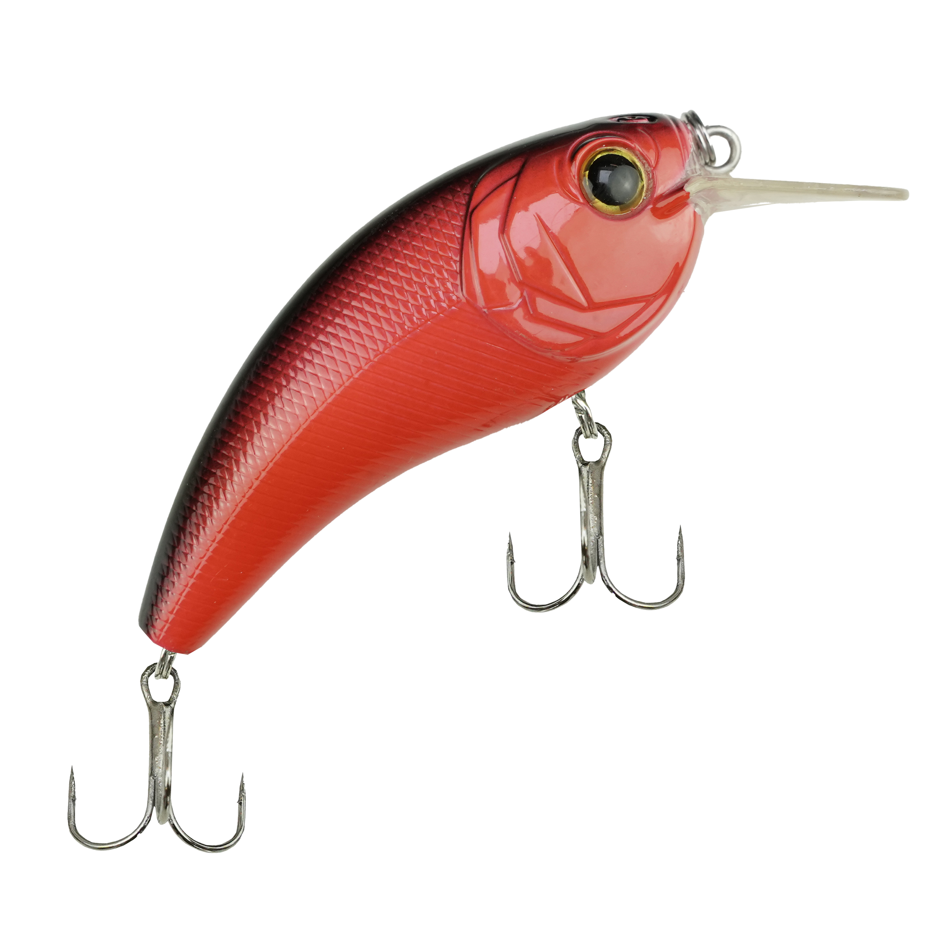 Set Canne à Pêche Spinning DLT Pro – Kit Complet Carnassier avec Moulinet, Ligne, Leurres et Têtes Plombées