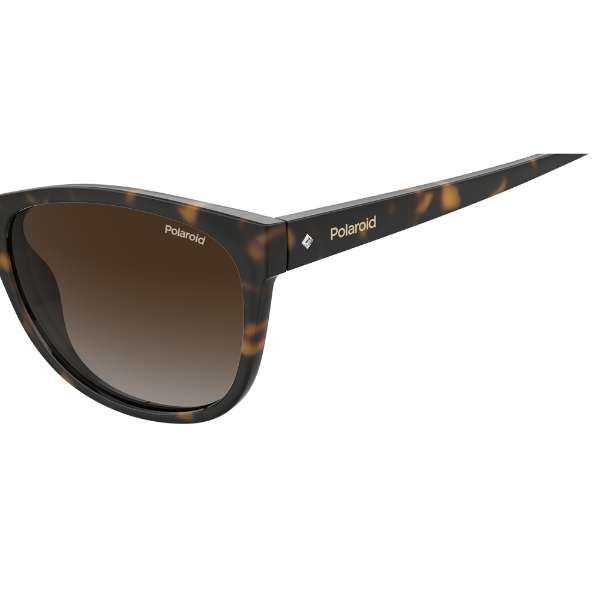 - PLD 4099/S 086 - Dk Havana - Lunette de Soleil