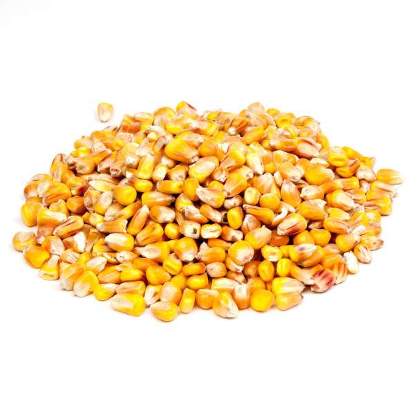 Mais entiers USA - 5kg
