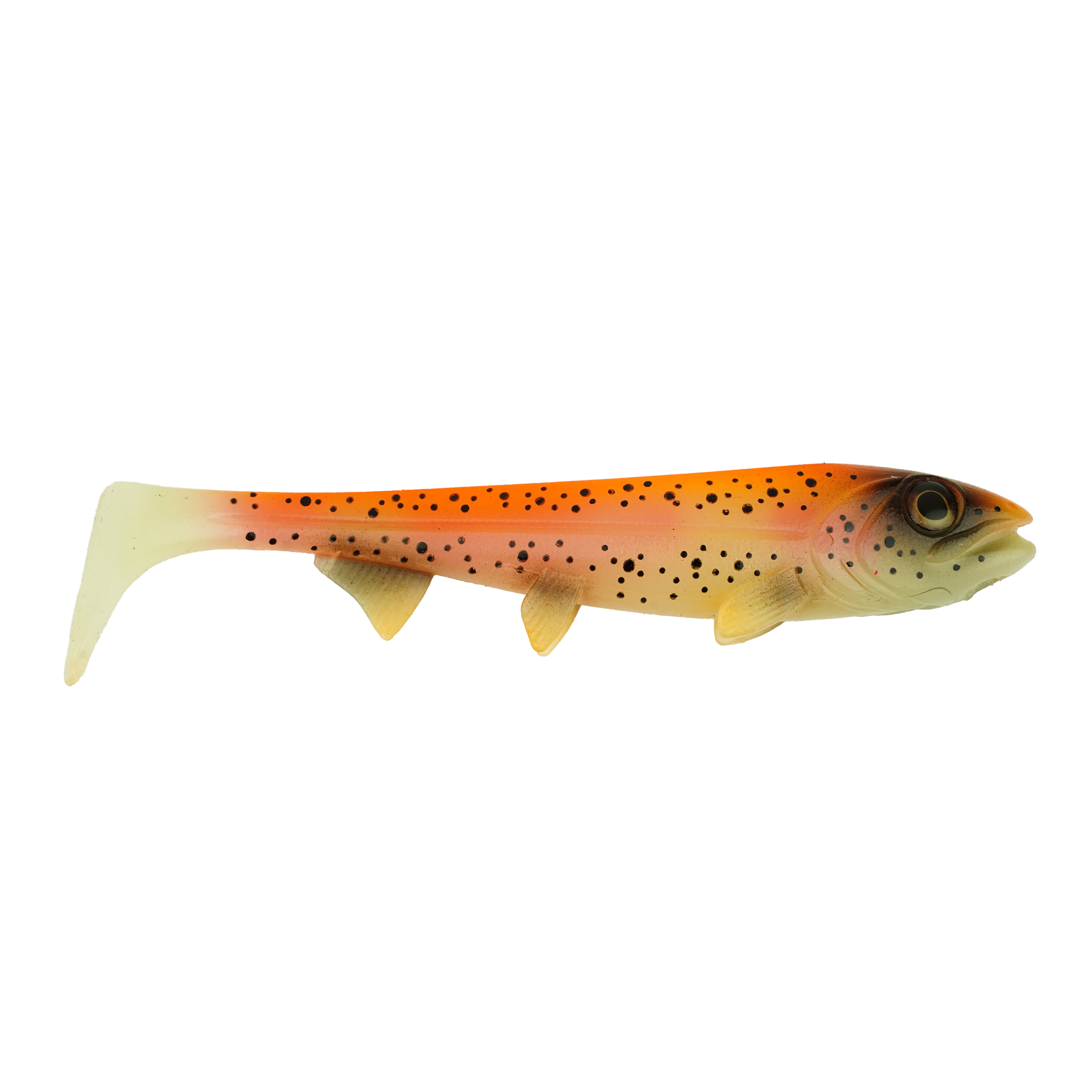 Hostagevalley Shad - Truite Dorée - 22cm