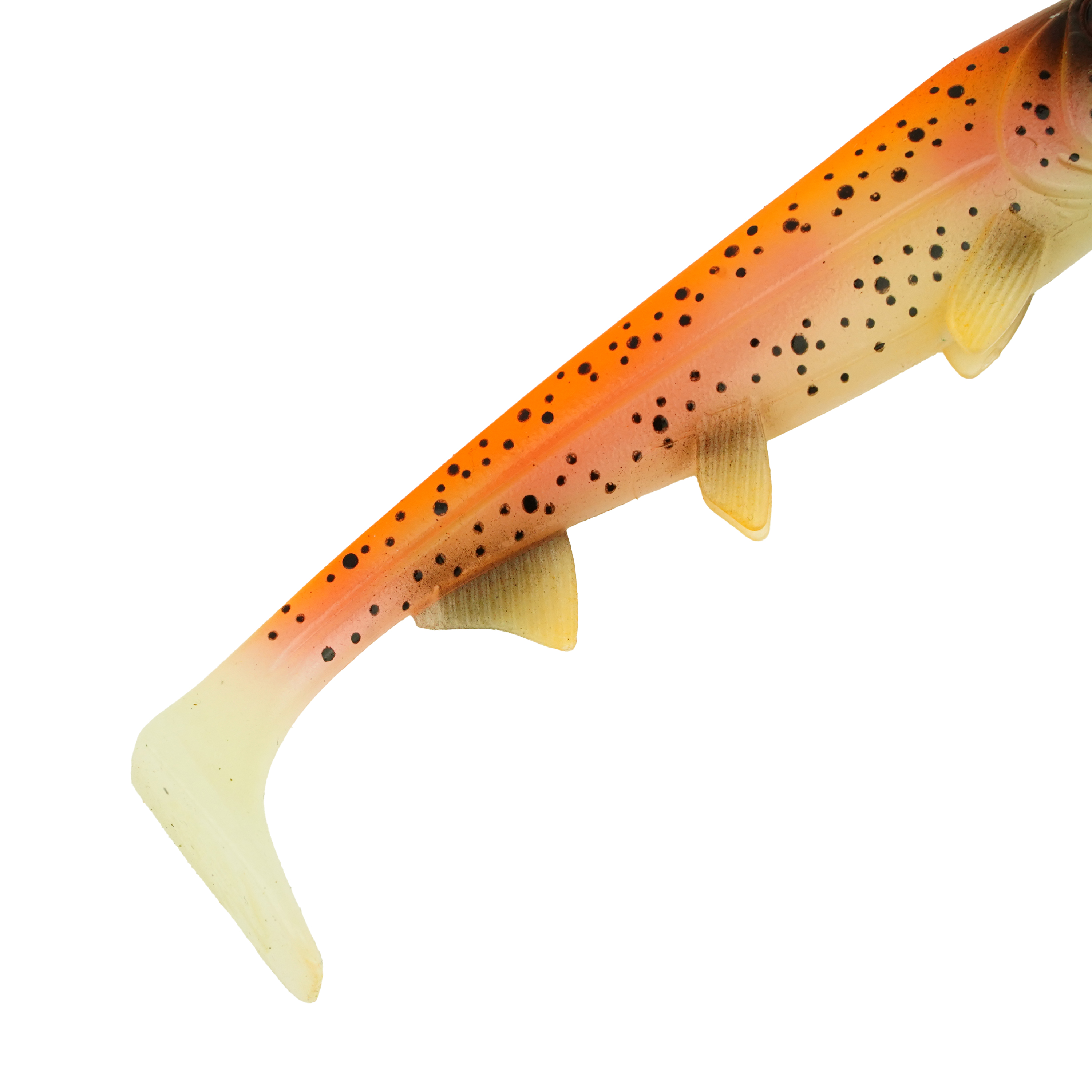 Hostagevalley Shad - Truite Dorée - 22cm