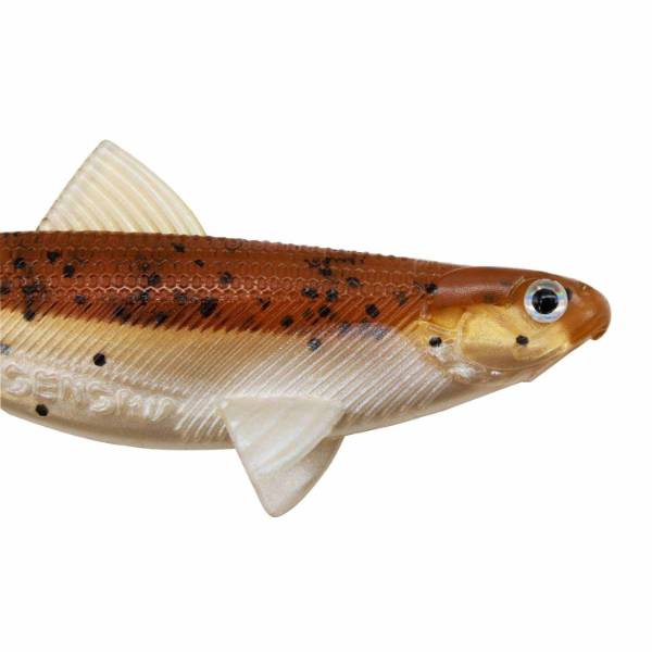 Real Fin Shad 8 - Mix Pack - 8cm - 11g - 4 Pièces