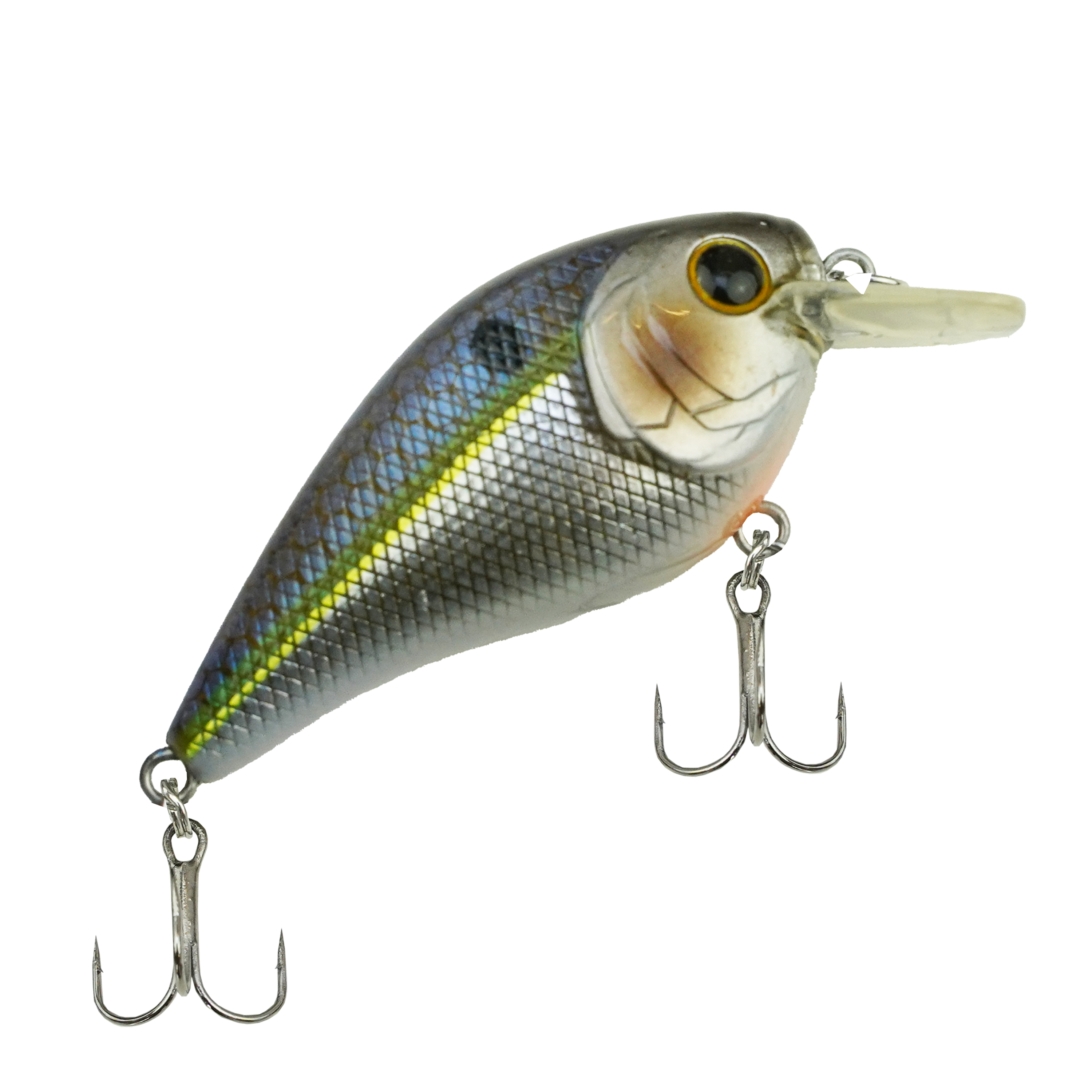 Set Canne à Pêche Spinning DLT Pro – Kit Complet Carnassier avec Moulinet, Ligne, Leurres et Têtes Plombées
