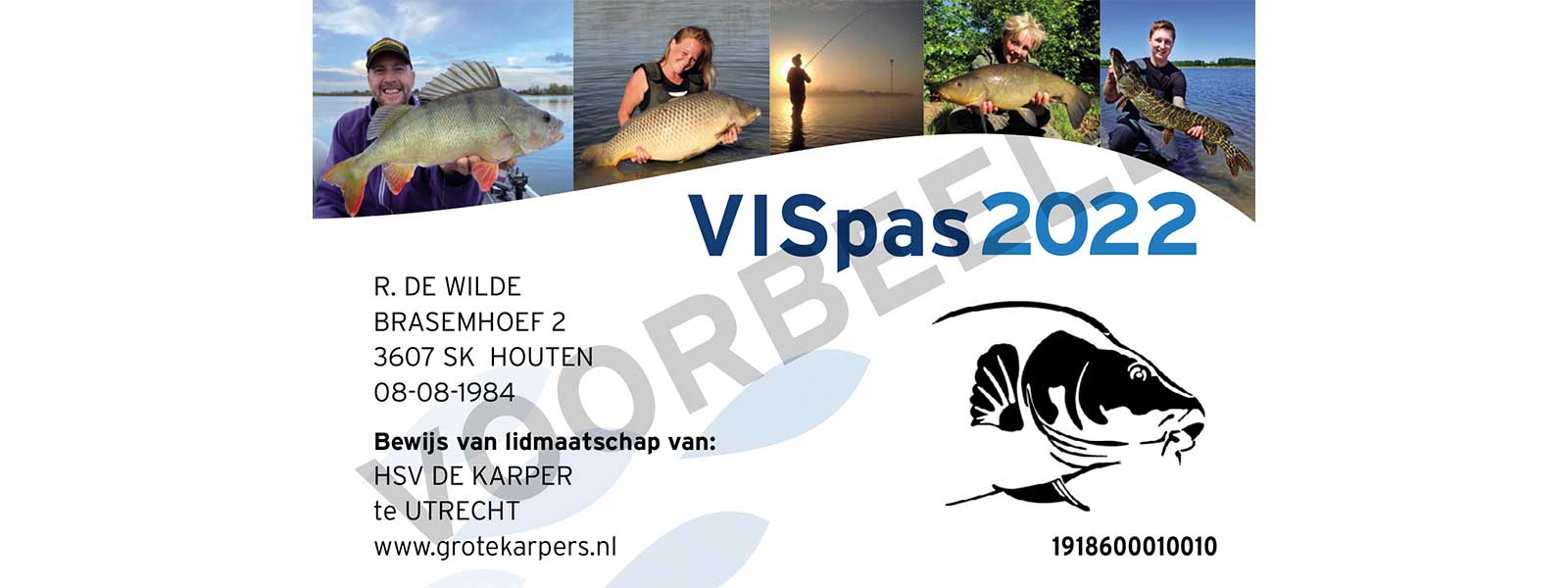 VISpas kaufen