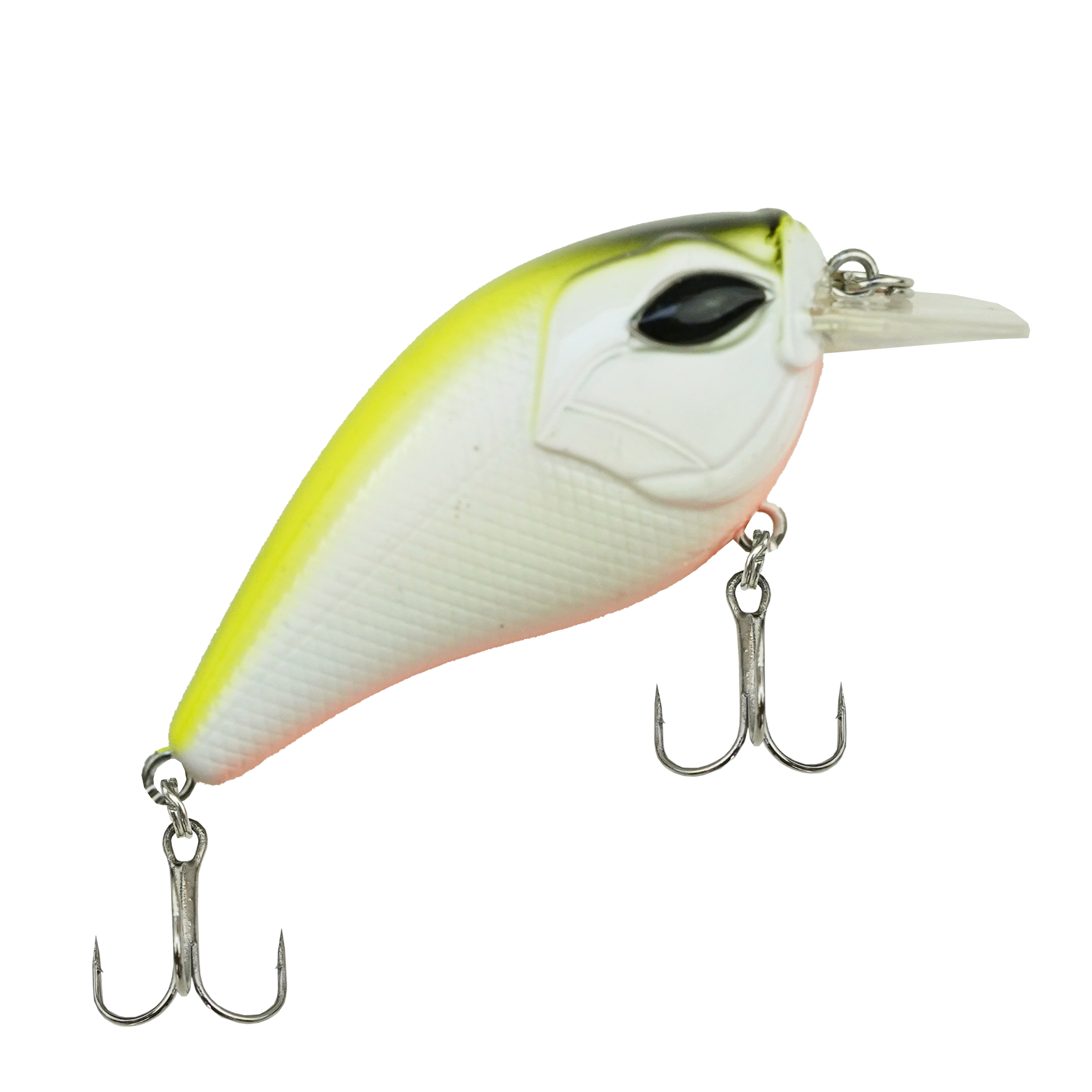 Set Canne à Pêche Spinning DLT Pro – Kit Complet Carnassier avec Moulinet, Ligne, Leurres et Têtes Plombées