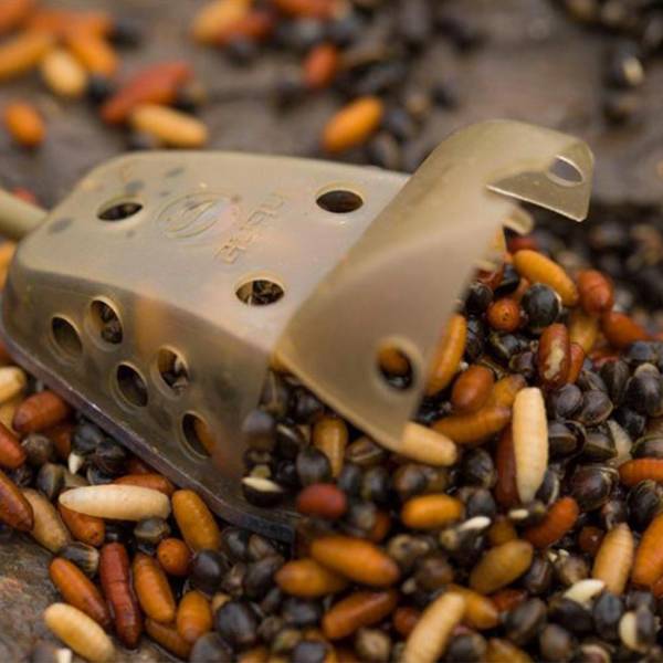 Maggot Feeder - Medium 55g